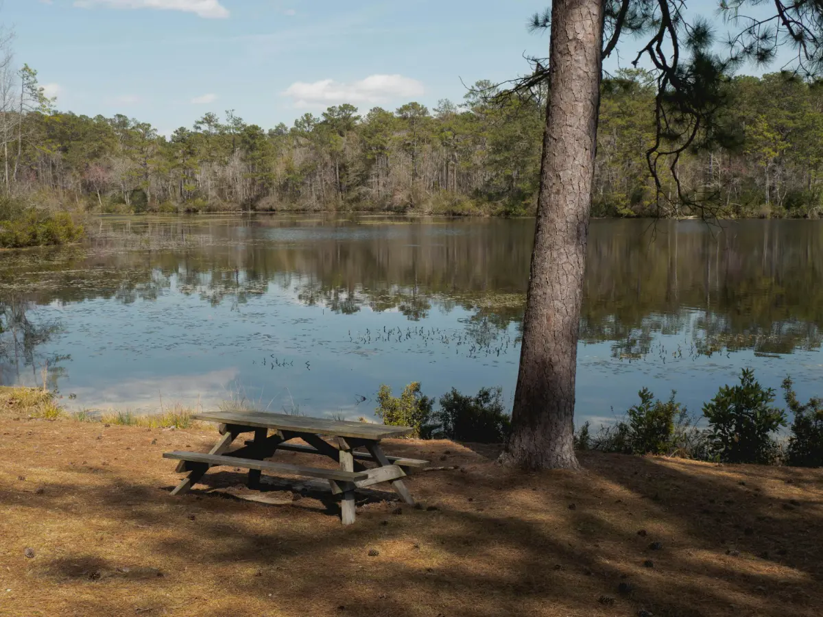 Thinking About Moving to South Carolina? Let Zenith Moving Group Handle Everything for You! 